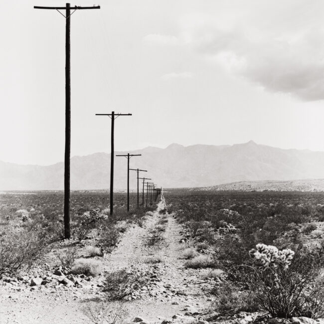 Presentación en ARCO 2016 de la serie «West USA: The Landscapes»